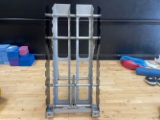Reebok Dumbbell Stand - No Reserve
