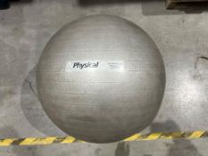 Physical 65cm Pro Stability Ball - No Reserve