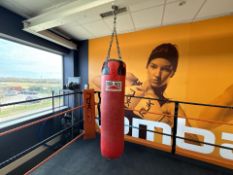 Pro Box Punch Bag