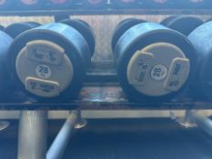 Hammer Strength Dumbbells 28kg