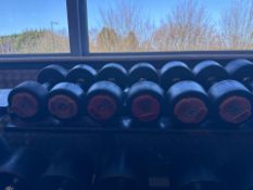 Hammer Strength Dumbbells 10, 12 & 14kg