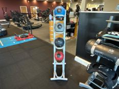Medicine Ball Rack Including Various Ball Weights