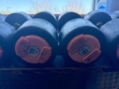 Hammer Strength Dumbbells 16kg