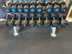 Dumbbell Stand