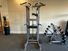 Life Fitness Assisted Dip/Chin