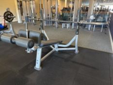 Life Fitness Decline Bench