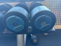 Hammer Strength Dumbbells 32kg