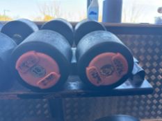 Hammer Strength Dumbbells 18kg