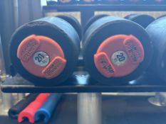Hammer Strength Dumbbells 20kg