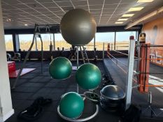 Exercise Balls With Stand