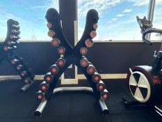 Escape Dumbbell Set & Rack