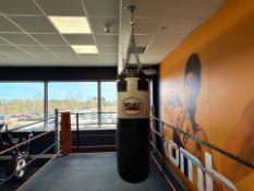 Pro Box Punch Bag