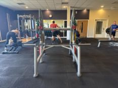 Life Fitness Plate Loaded Squat Machine