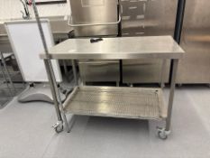 Stainless Steel Mobile Table