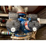 Holden & Brooke STARKAN II Twin Glandless Circulators 220-400V 3ph 1520W, Serial 043 0679x/06731