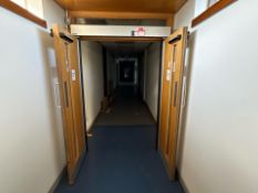 Automatic Double Fire Door