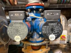 Holden & Brooke Starkan II Glandless Circulator Pumps, 230-400V, Model CD62-14-3, Pair, IP42