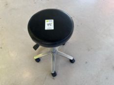Adjustable Salon Stool