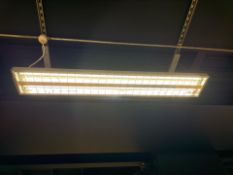 15 x Fluorescent Strip Luminaires