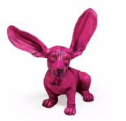 Purple Surprised Basset