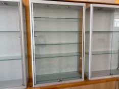 Metal Display Cabinet With Glass Shelves