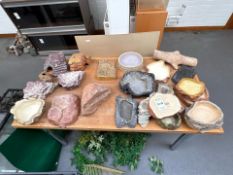 Assortment Of Reptile Bowls And Rocks