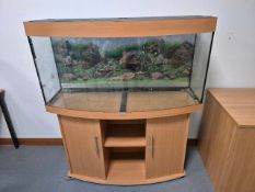 Glass Fish Tank
