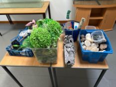 Assorted Fish Tank Accessories