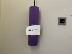 Job Lot of 19 x Chelsom Pendant Hanging Lamp with Colour Shade