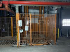 MSK Hoist Pallet Lift with Conveyor