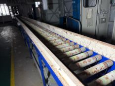 Roller Conveyor Lines from Line 5