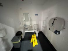 Contents Of Disabled Restroom, No Reserve