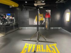 Carbon Claw Punch Bag And Stand