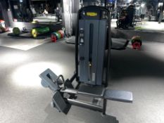 Technogym Pin Loaded Pulley