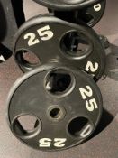 Pair of 25kg Physical Plates