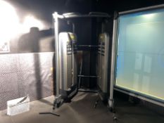 Technogym Dual Adjustable Pulley