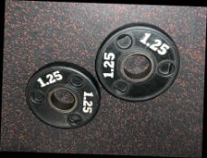 1.25KG Physical Plates x2
