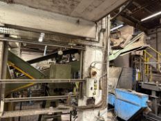 Hopper Fed Conveyor with Metal Detector