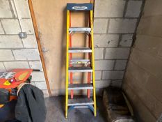 Werner Ladder