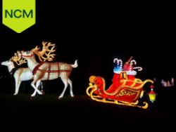 Auction On Behalf Of Yorkshire Wildlife Park. Surplus Themed Winter Illuminations Lanterns, As Displayed In Their Annual Event