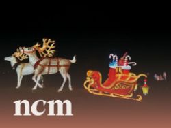 Auction On Behalf Of Yorkshire Wildlife Park. Surplus Themed Winter Illuminations Lanterns, As Displayed In Their Annual Event