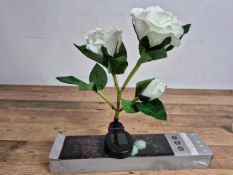 Linea Solar White Rose