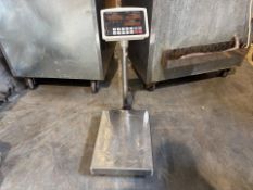Steinberg Weighing Scales