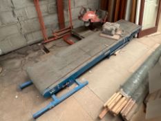 Electric Conveyor, No Reserve