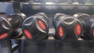 Pair of 30Kg BodyMax Dumbbells, No Reserve