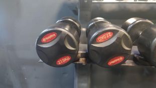 Pair of 27.5Kg BodyMax Dumbbells, No Reserve