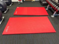 Jordan Gym Mats x2