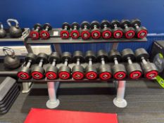 Set Of Escape Dumbbells And Rack