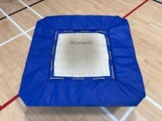 Larsen Trampoline
