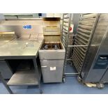 Dual Basket Fryer